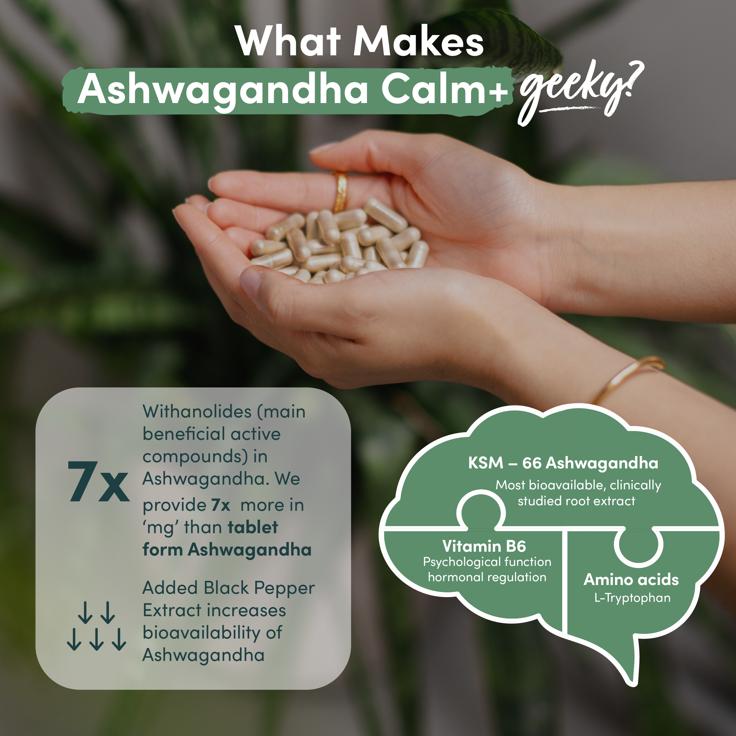 Ashwagandha Calm+ thumbnail 2